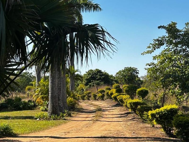 OFFERS WELCOME! Frost-Free Farm: Perfect for Farming, Lifestyle or Business Ventures - Photo 4