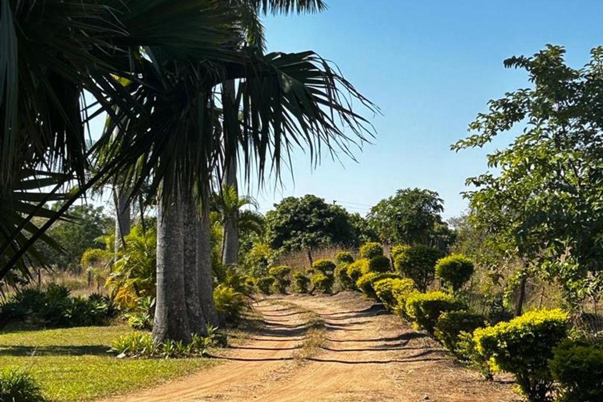 OFFERS WELCOME! Frost-Free Farm: Perfect for Farming, Lifestyle or Business Ventures - Photo 4