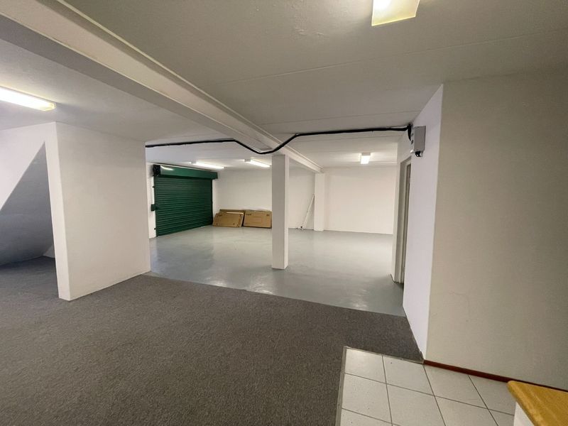 A spacious, clean, and empty garage area featuring a roller shutter door, painted concrete flooring, and functional overhead fluorescent lighting.