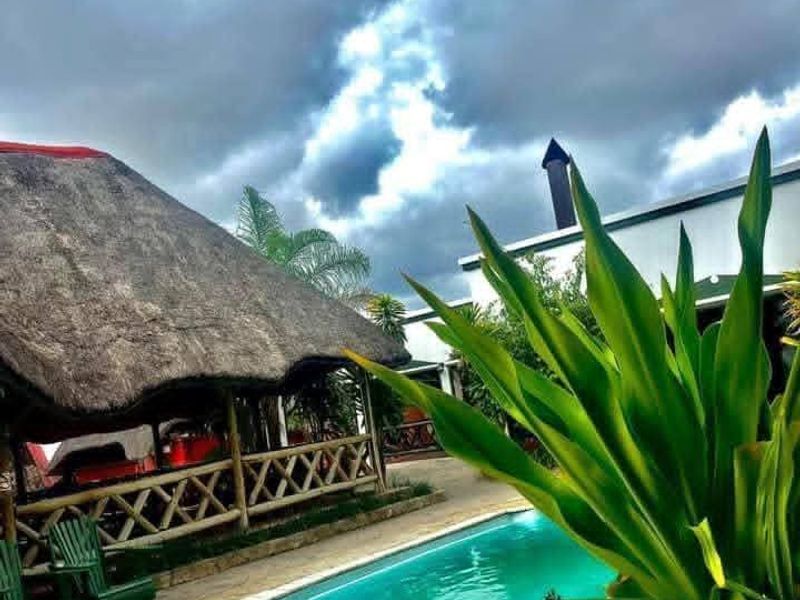 Outdoor pool area featuring a swimming pool with a tiled surround and an adjacent thatched roof gazebo structure.