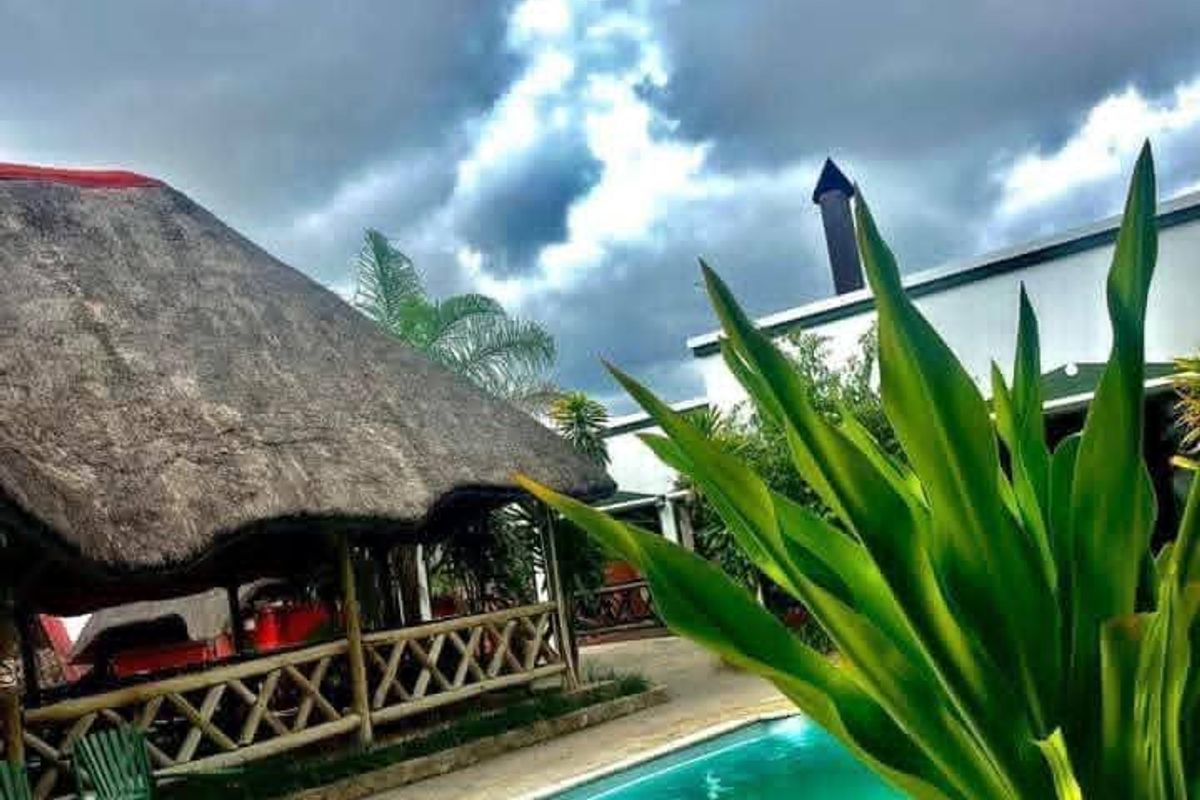 Outdoor pool area featuring a swimming pool with a tiled surround and an adjacent thatched roof gazebo structure.