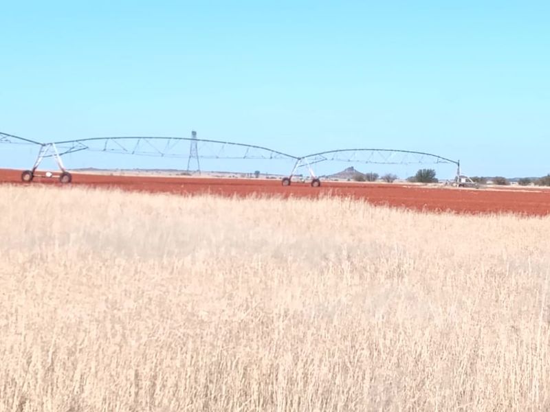 IRRIGATION FARM. 20 BORHOLES. SEVEN IRRIGATION TOWERS. CATTLE FARM - Photo 3