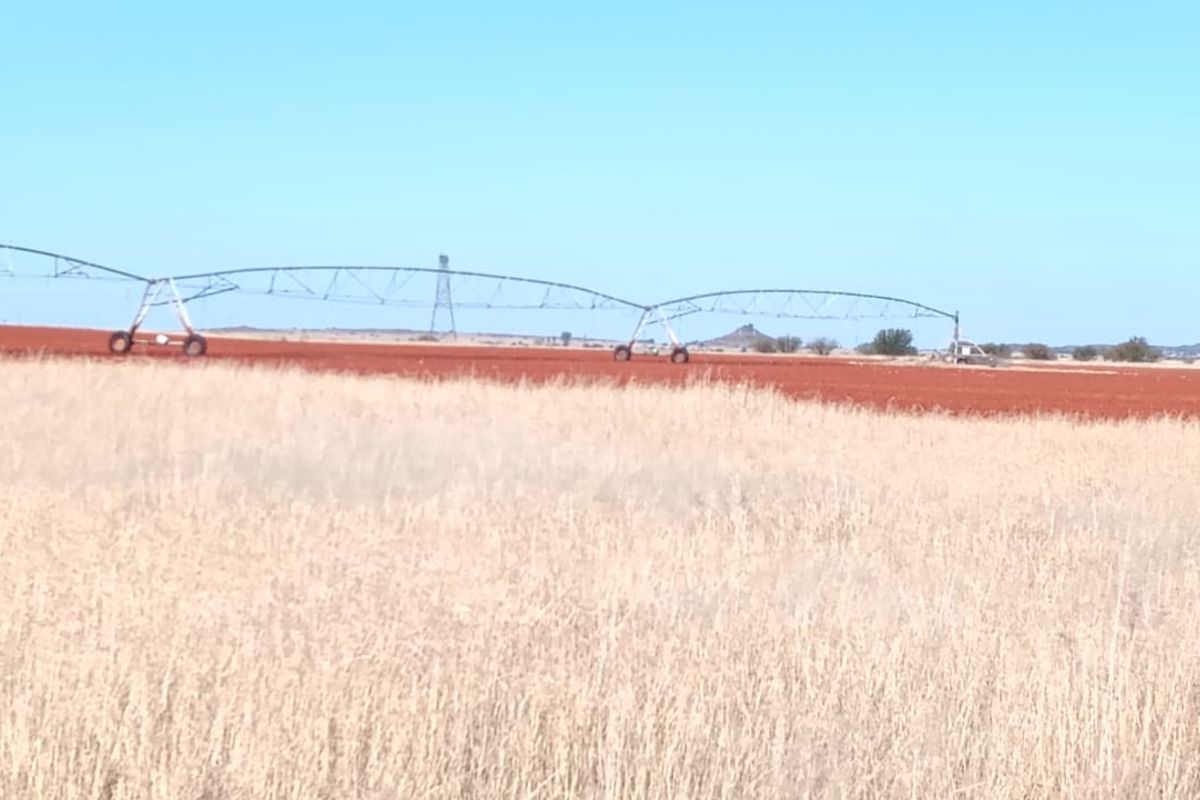 IRRIGATION FARM. 20 BORHOLES. SEVEN IRRIGATION TOWERS. CATTLE FARM - Photo 3