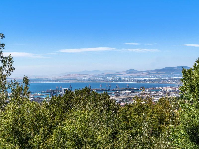 A panoramic elevated view overlooking the coastal city, harbor, and distant mountain ranges, framed by foreground trees.