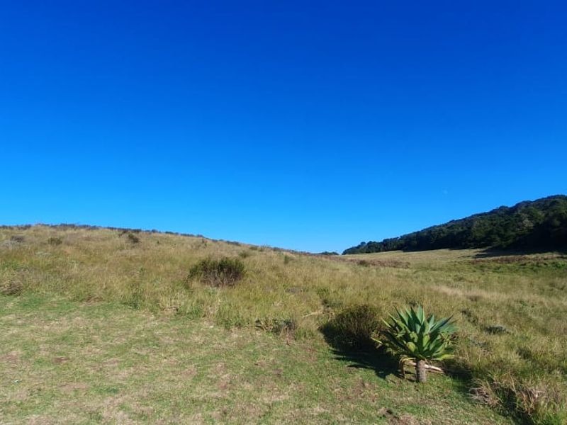 Vacant Plot for Sale - best views in Royalston Wildlife Estate - Photo 4