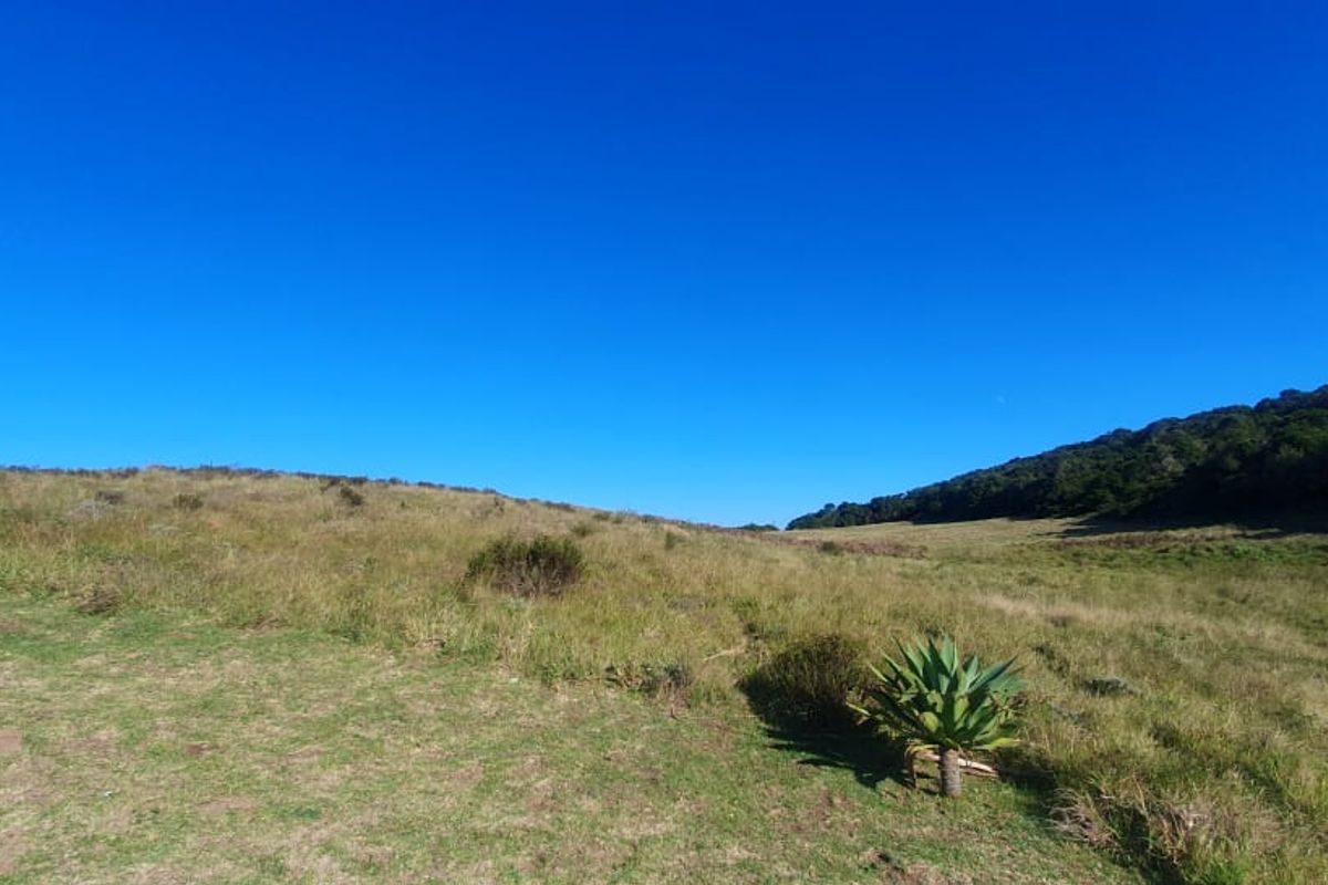 Vacant Plot for Sale - best views in Royalston Wildlife Estate - Photo 4