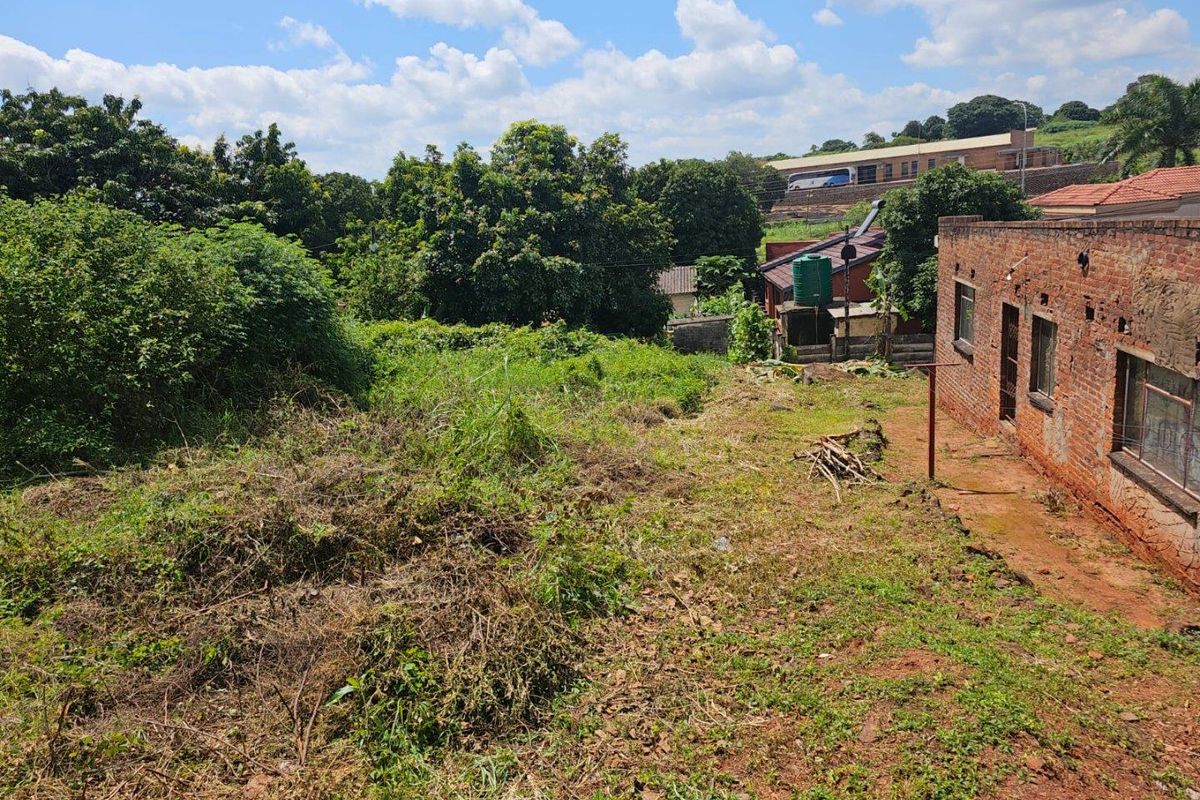 A view of a residential vacant land plot featuring overgrown vegetation and an adjacent brick structure.