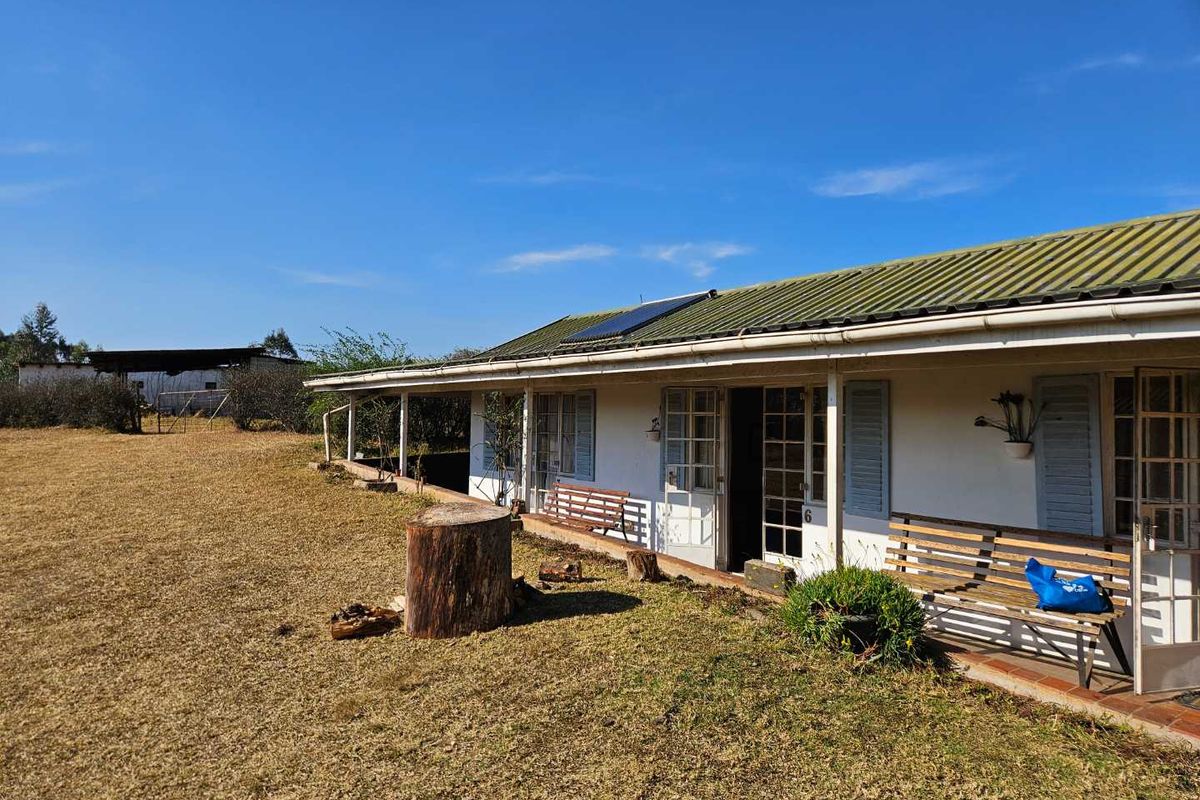 Rear view of a farm-style dwelling featuring a covered veranda, corrugated metal roof with solar panels, and multiple timber-framed glass access doors.