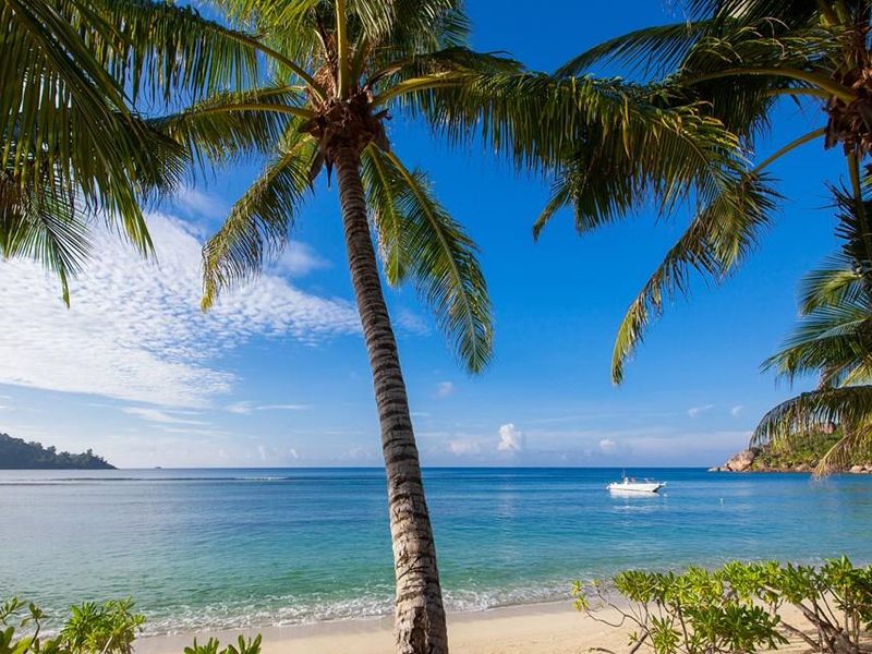 A scenic view of a tropical beach with palm trees, clear blue water, and a boat in the distance.
