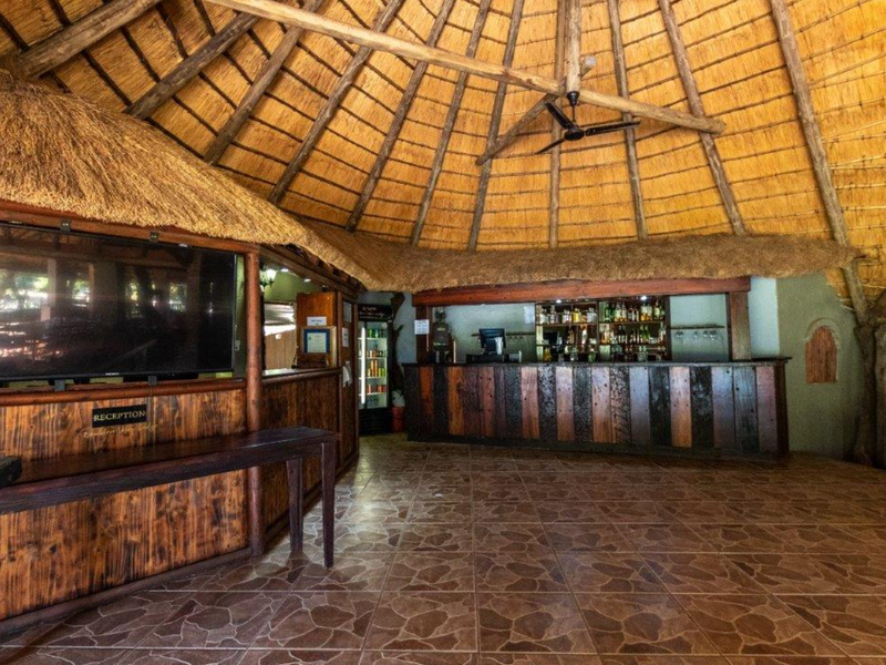 Your gateway to Africa's untamed beauty and endless possibilities. - Photo 4