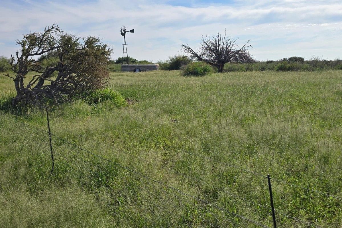 Beautiful Farm in The South Of Namibia For Sale - Photo 4