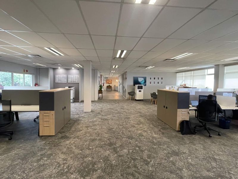 Open-plan office space featuring suspended ceilings, recessed lighting, carpeted flooring, and large windows providing natural light throughout the workspace.