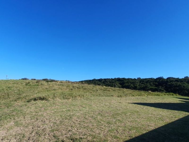 Vacant Plot for Sale - best views in Royalston Wildlife Estate - Photo 5