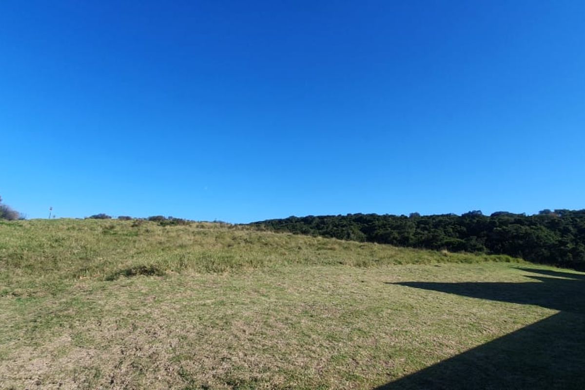 Vacant Plot for Sale - best views in Royalston Wildlife Estate - Photo 5