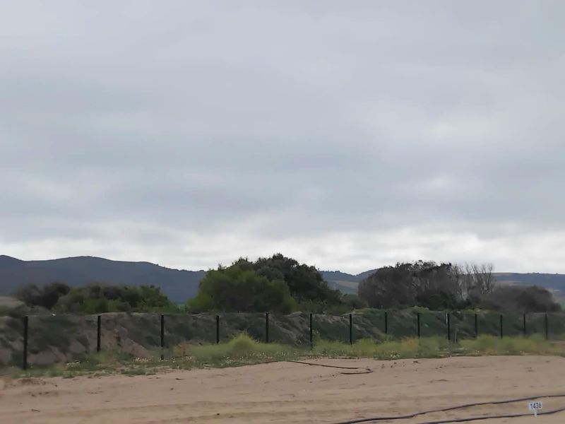 NOW SELLING:  Klipheuwel Estate:  PHASE 1 - Photo 8