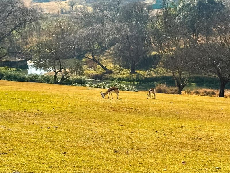 A scenic view of a natural landscape featuring a grassy field, mature trees, and a river, showcasing the property's tranquil outdoor surroundings.