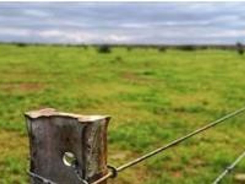 Commercial Agricultural Farm for Sale-Maltahohe - Photo 4