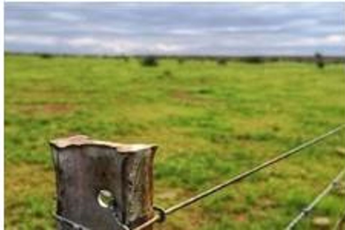 Commercial Agricultural Farm for Sale-Maltahohe - Photo 4