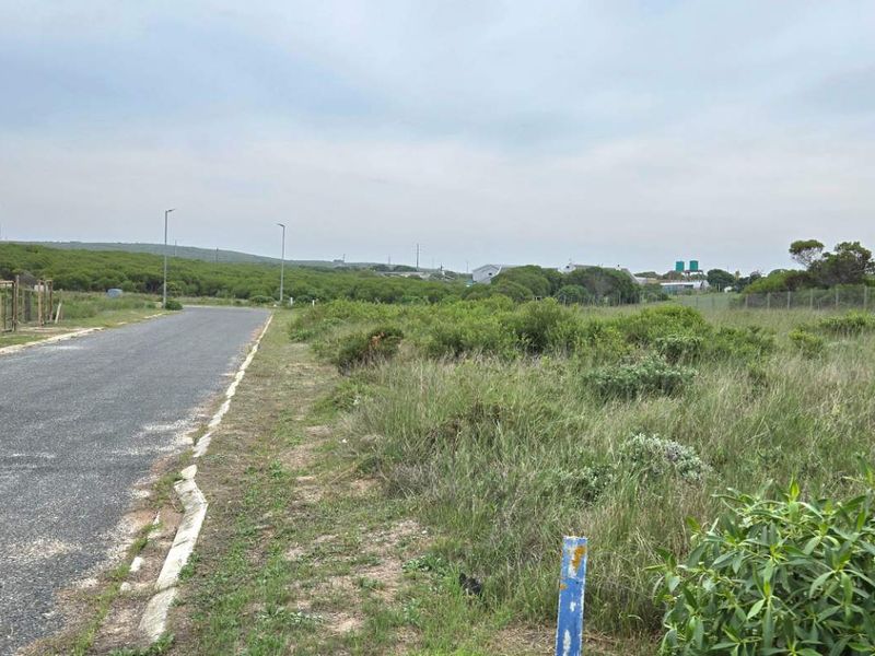 Elevated Stand with Excellent Investment Potential - Photo 7