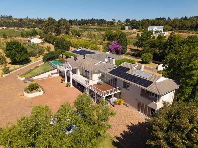 Life-style Olive Farm With Established Operations and Quality Infrastructure - Photo 8