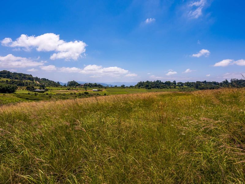 Peaceful Land in Stoneford Country Estate - Photo 8