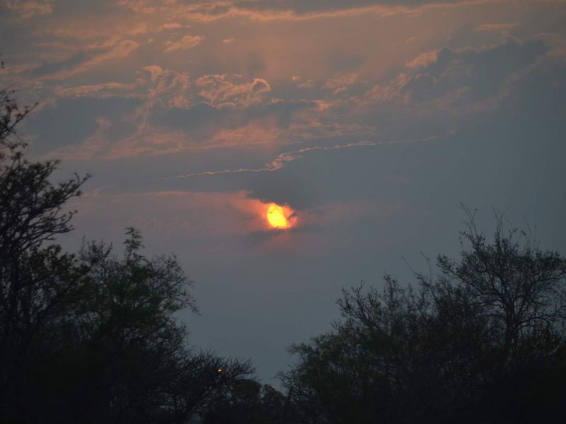 Stand for Sale in Ditholo Game Estate - Photo 5