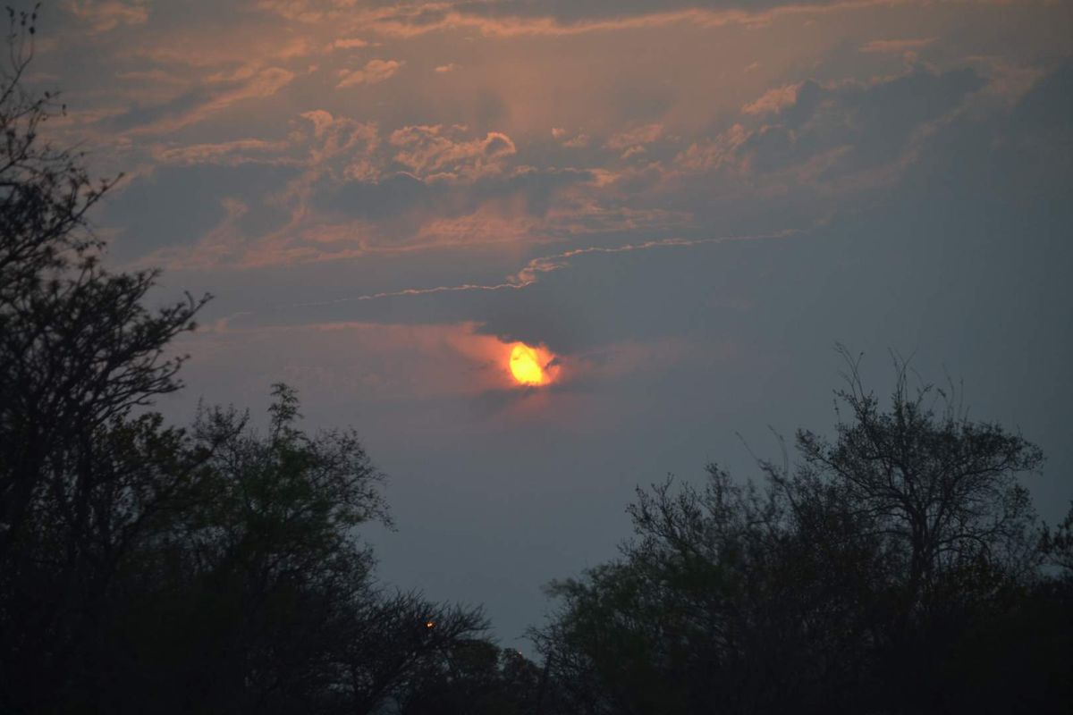 Stand for Sale in Ditholo Game Estate - Photo 5