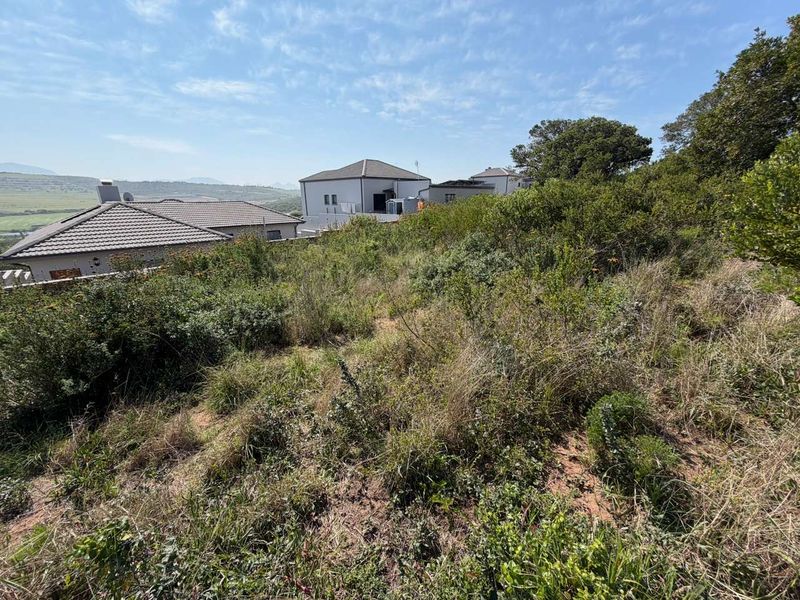 A view of a sloped, undeveloped residential plot featuring natural vegetation and surrounding neighborhood homes.