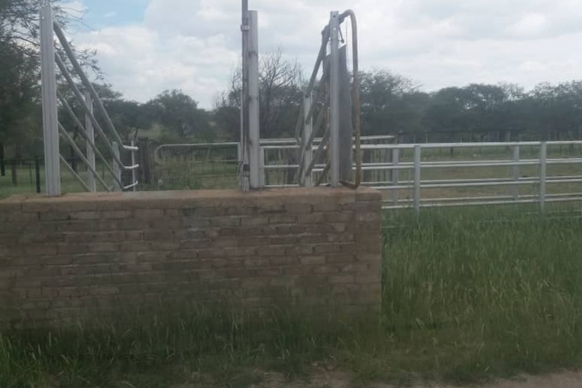 FOR SALE - CATTLE/SHEEP/AGRICULTURAL FARM IN THE OMARURU AREA OF NAMIBIA - Photo 4