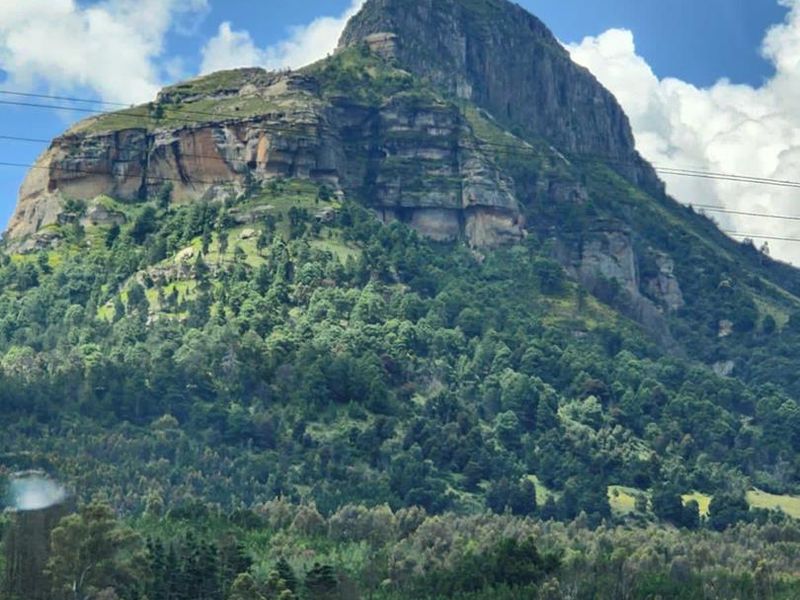 Robin’s Nest – A Tranquil Mountain Retreat in Geluksburg, KwaZulu-Natal - Photo 7