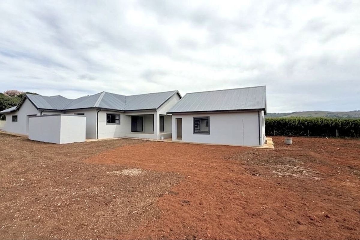 A rear view of a modern single-story house featuring a metal roof, grey exterior walls, and an expansive, undeveloped garden area.