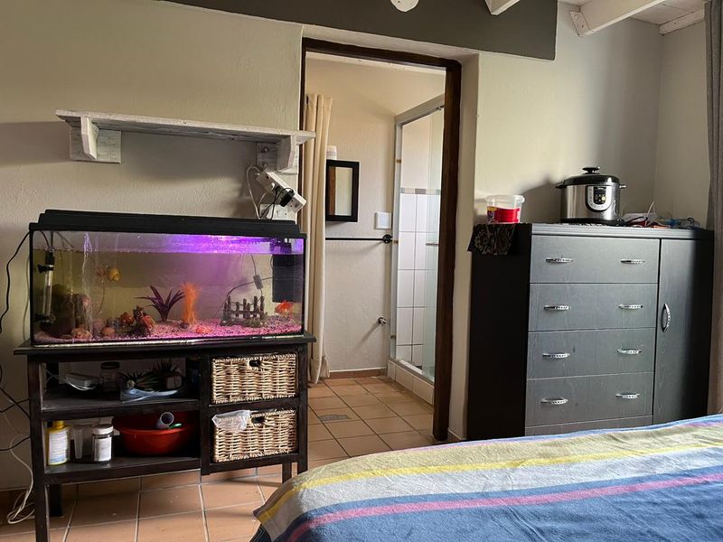 Great Starter home in City Centre - Photo 5