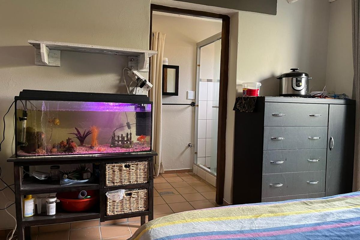 Great Starter home in City Centre - Photo 5