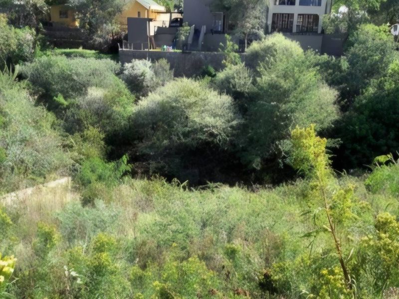 A view of a sloped, undeveloped residential plot featuring dense natural vegetation and surrounding established properties.