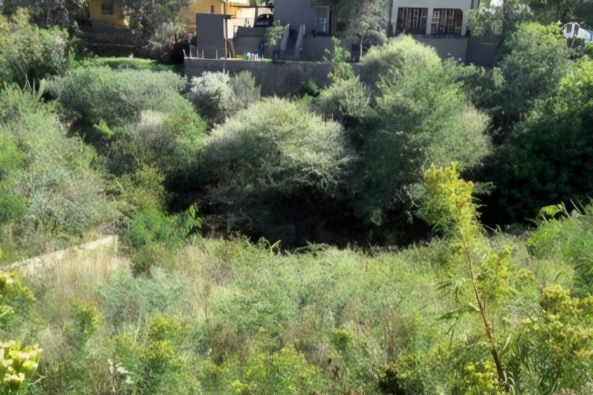 A view of a sloped, undeveloped residential plot featuring dense natural vegetation and surrounding established properties.