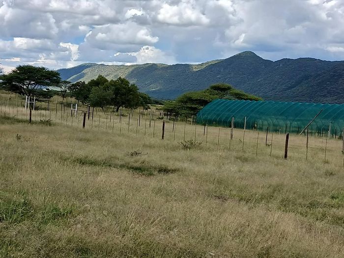 Property #2539555, Farm For Sale in Otavi Central