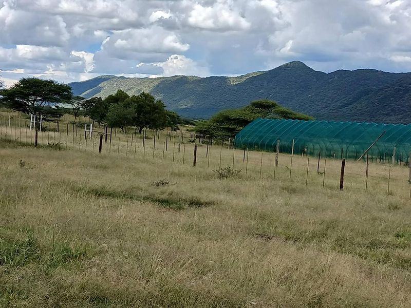 Expansive farm landscape featuring wire fencing and a large greenhouse tunnel structure set against a scenic mountain backdrop.