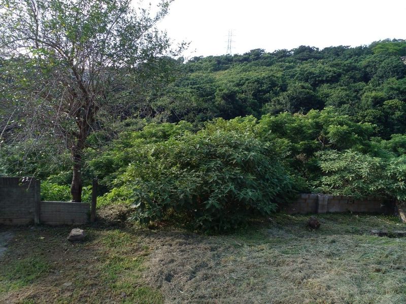 Vacant Land in Malvern - Photo 4