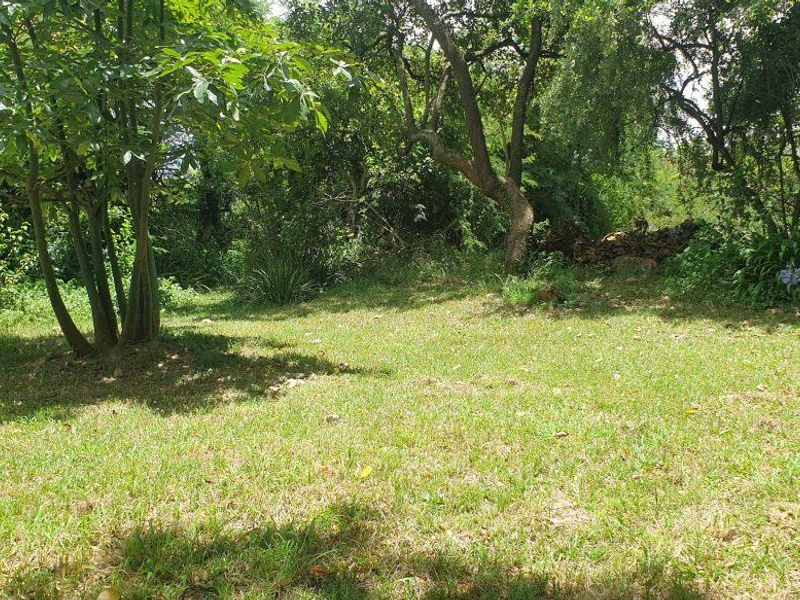 Lovely farm for sale with good soil and ready for its new owner with ambition. - Photo 8