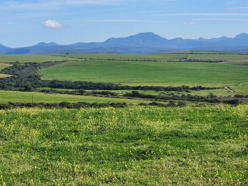 Expansive rural landscape view featuring rolling green pastures and distant mountain ranges under a clear blue sky.