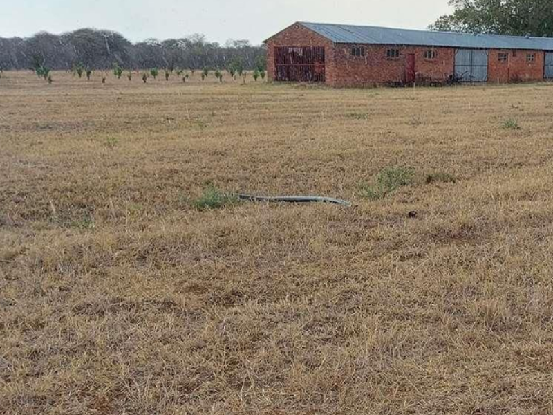 Prime 78-Hectare Farm: Comfort and Convenience Near Naboomspruit - Photo 2