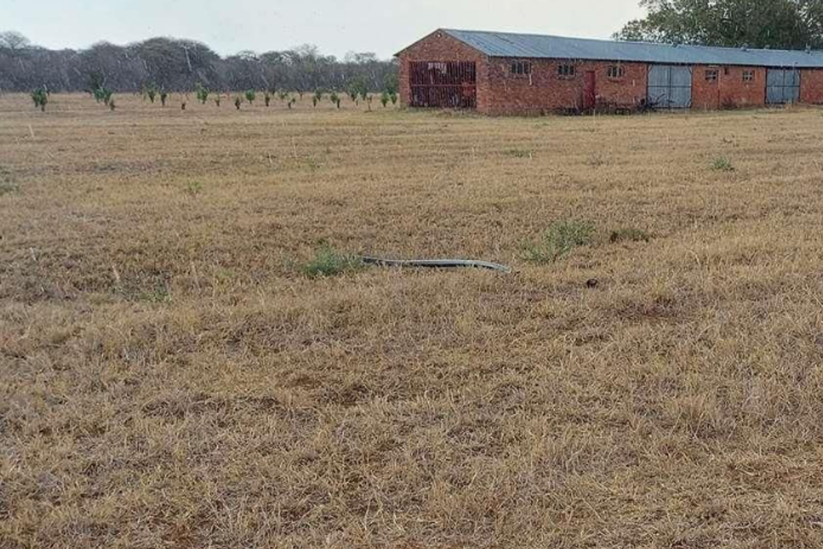 Prime 78-Hectare Farm: Comfort and Convenience Near Naboomspruit - Photo 2