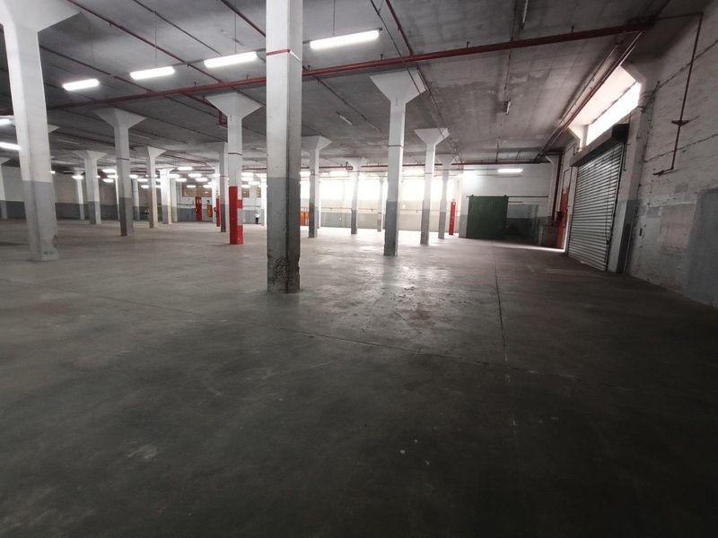 3410m2 - Secure Mega Industrial Park - Photo 10