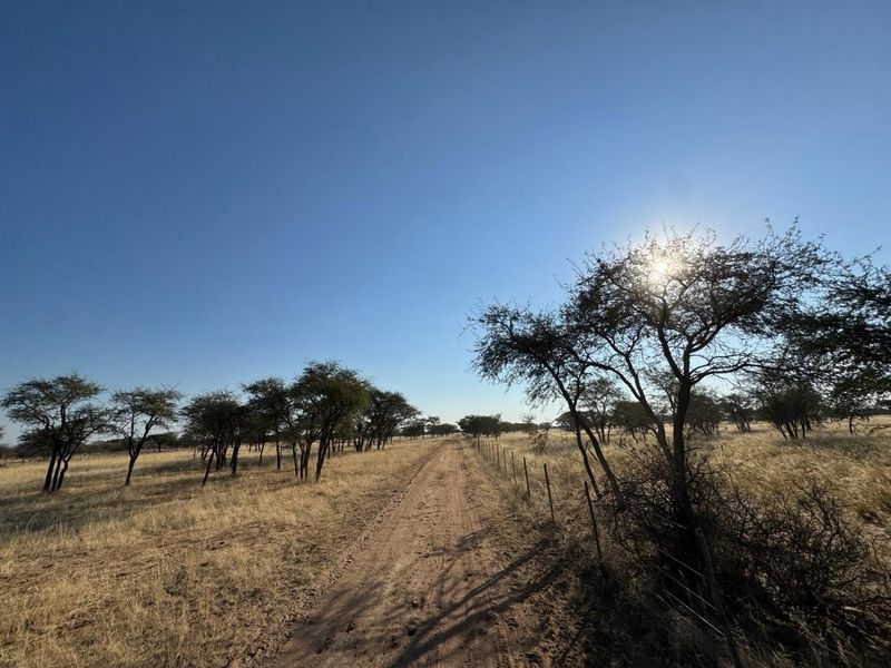 A scenic view of a rural farm landscape featuring a dirt track and wire fencing surrounded by native trees and dry grassland.