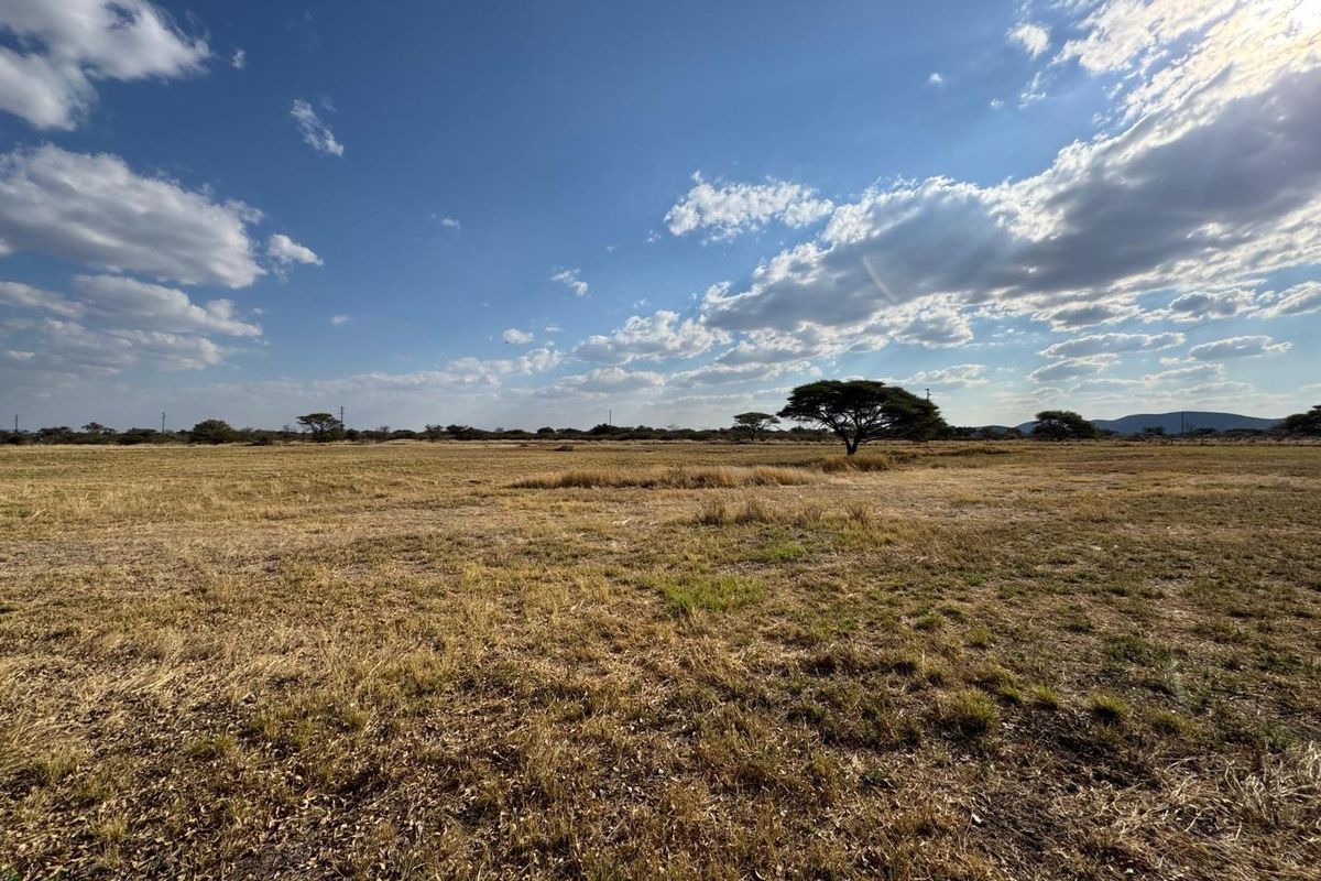 A beautiful, well-established cattle farm in the sought-after Otavi area — known for its excellent grazing and reliable rainfall. - Photo 5
