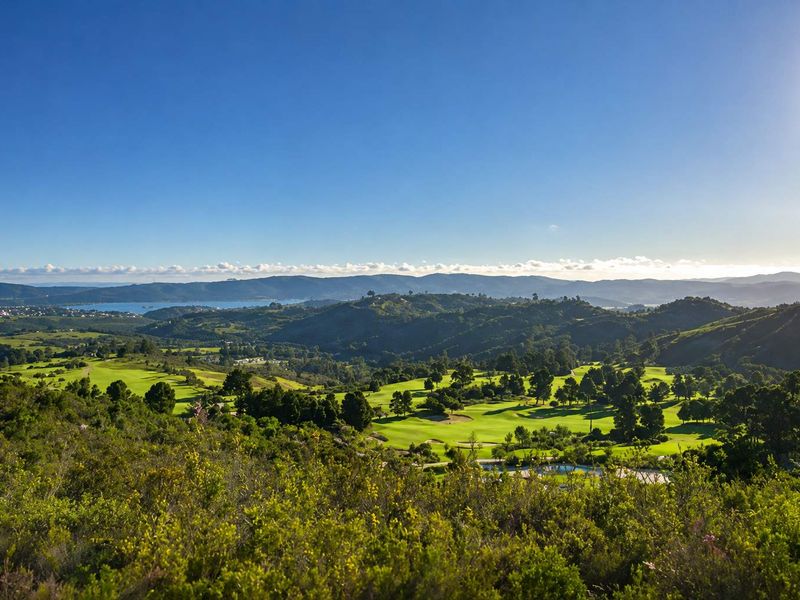 Brand-New 4-Bedroom Home with Private Flatlet and Forest Views in Simola Golf Estate - Photo 9