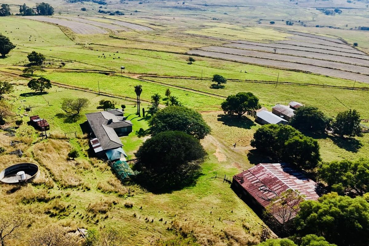 Farm for sale in the Vryheid area. - Photo 2