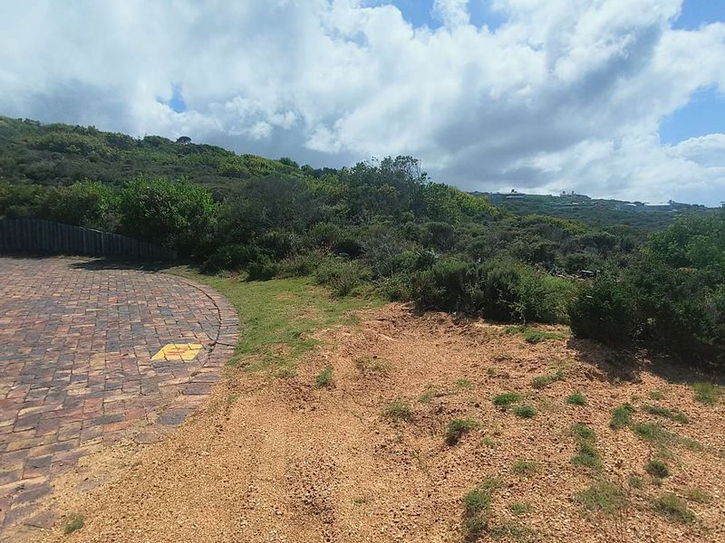 3040m2 Vacant Land With Breathtaking Views in Moquini Coastal Estate - Photo 10