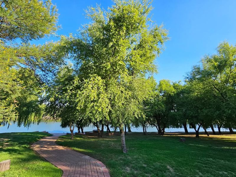 Double storey four bedroom thatch house on the banks of the Vaalriver - Photo 5
