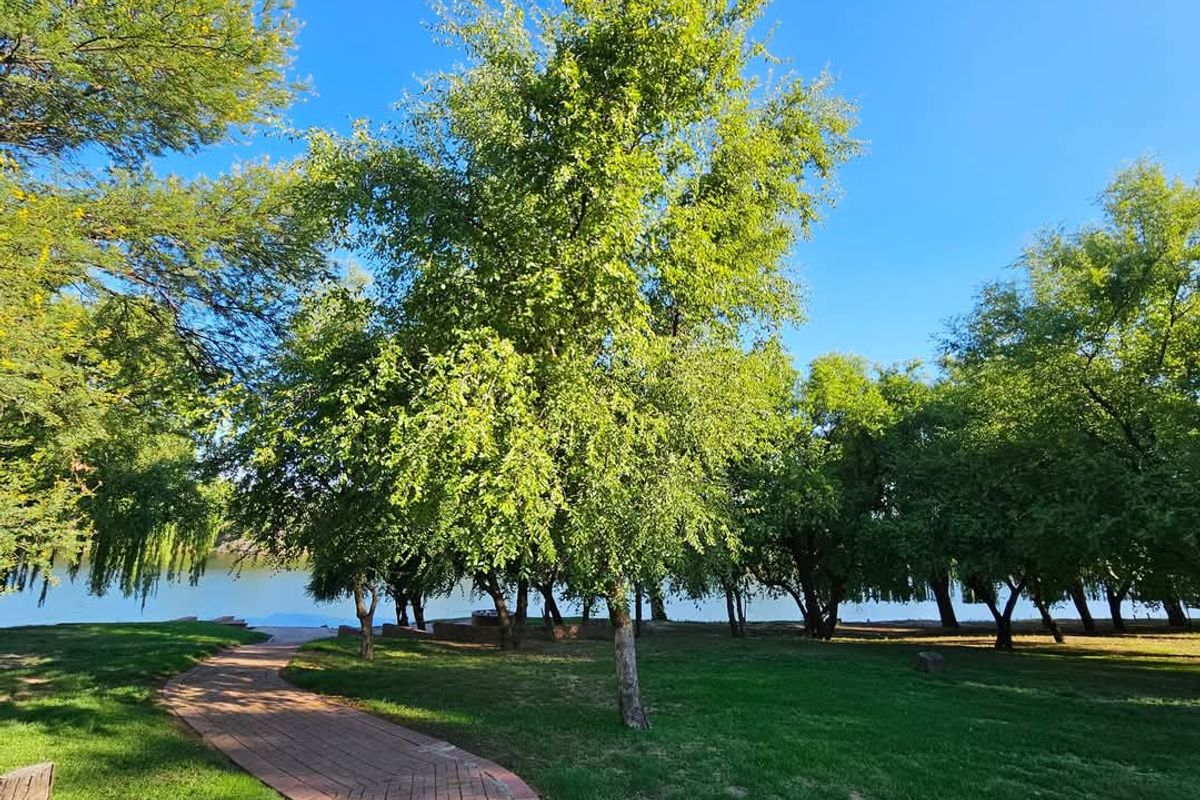 Double storey four bedroom thatch house on the banks of the Vaalriver - Photo 5